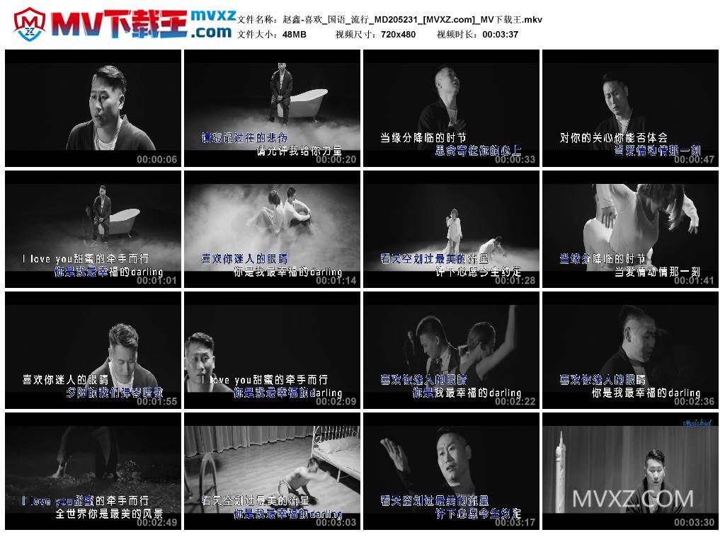 赵鑫-喜欢_国语_流行_MD205231